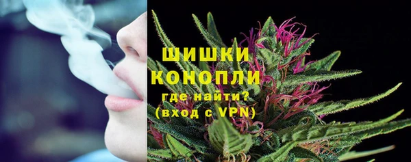 spice Арсеньев