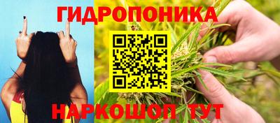 метадон Гусев