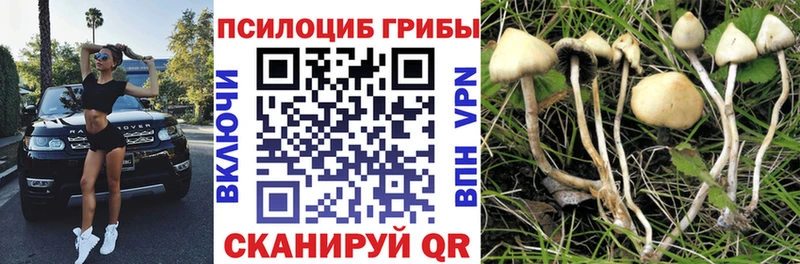 Галлюциногенные грибы прущие грибы  Можга 