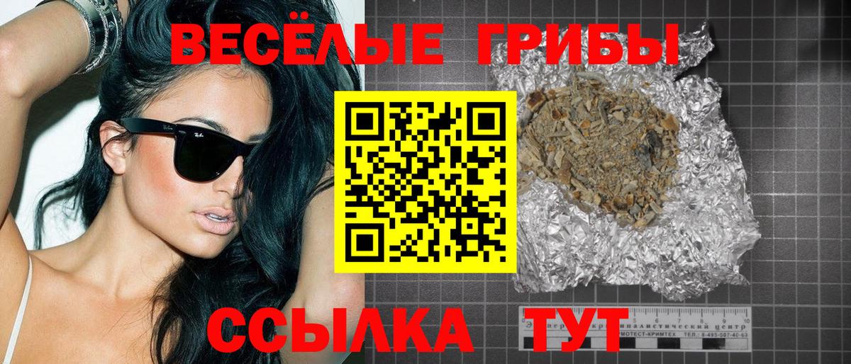 Можга  Галлюциногенные грибы ЛСД  Вход с VPN  Псилоцибиновые грибы ЛСД 