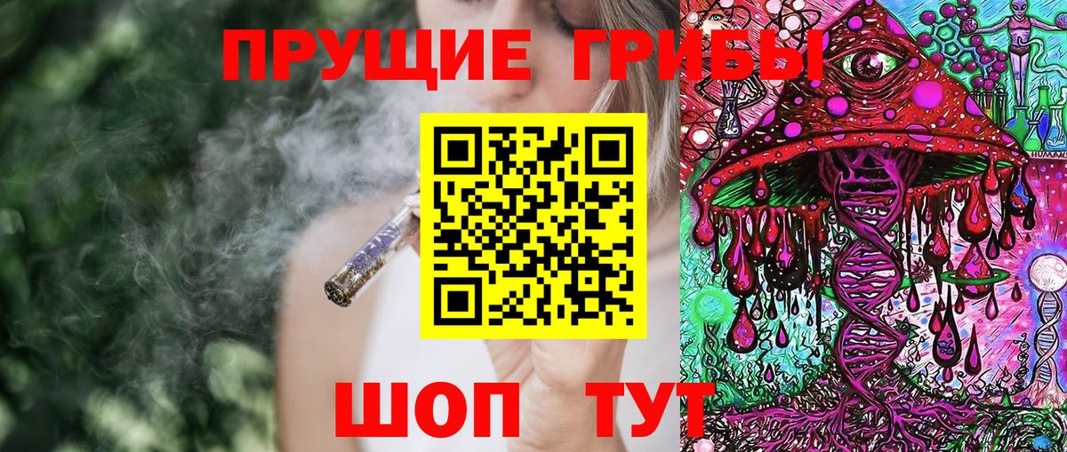 Галлюциногенные грибы Psilocybe Можга