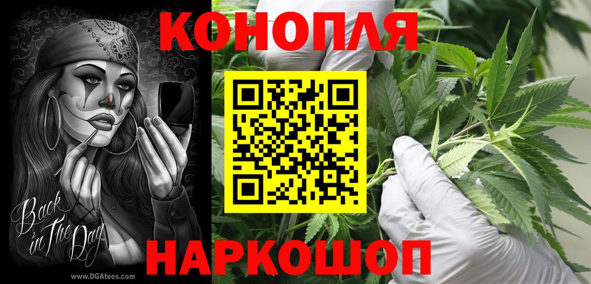 Канабис планчик Можга